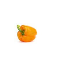 스펜서 SPENCER RZ F1 product photo