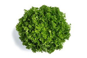 TIKODAL RZ product photo