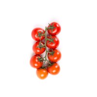 GLORIOSO RZ F1 (74-112) product photo