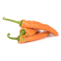 PALERMO OXALIS RZ F1 product photo