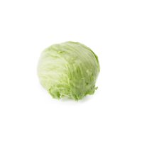 PATAGONIA RZ  product photo