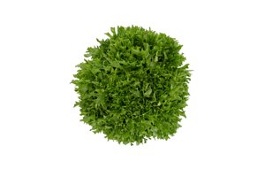 EXCAVO RZ product photo