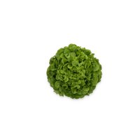 KIDOW RZ (83-104) product photo
