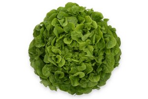 KIDOW RZ (83-104) product photo