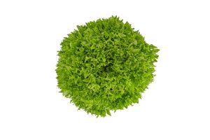 EXOGRAPHIE RZ product photo