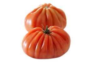 RUGANTINO RZ F1 product photo