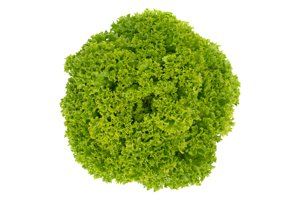 LIMASSOL RZ product photo