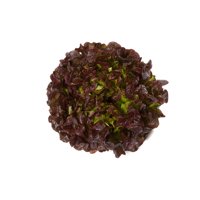 PRUNAÏ RZ product photo
