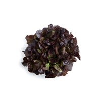 DAKARAI RZ product photo