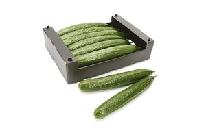 MAINALOS RZ F1 product photo