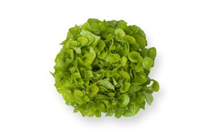 KIRINIA RZ (83-44) product photo
