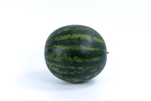 VELESTINA RZ F1  product photo