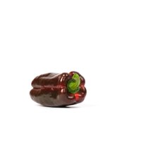 CRUCERO RZ F1 (35-607) product photo