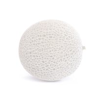 KONDOI RZ F1 product photo
