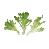 CHAPMAN RZ product photo