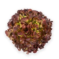 CORNOUAÏ RZ (83-98) product photo