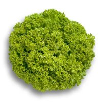 LEVISTRO RZ (85-76) product photo