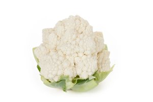 WHITAKER RZ F1 product photo