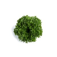 BODILIQUE RZ (44-CL1050) Knox™ product photo