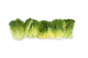 Salanova® AULANKO RZ (79-ML7418) product photo