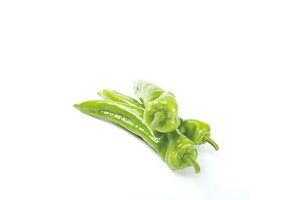 瑞箭(37-109)Ruijan product photo