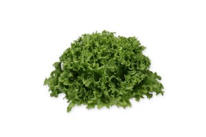 CRYSTIQUE RZ (44-CL1573) Knox™ product photo