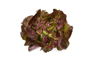 SKYPHOS RZ  product photo