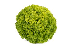 LORIANA RZ product photo