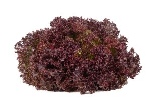 SAMANTINE RZ product photo