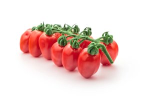 PARISETTO RZ F1 product photo