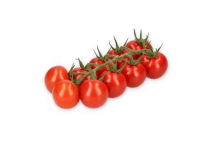 72-CK0622 Rexoso product photo
