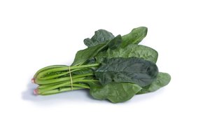 SILVERSIDE RZ F1 product photo