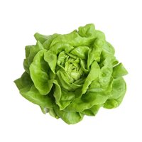 DEANGELIA RZ product photo