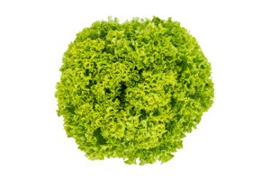 TERAMO RZ product photo