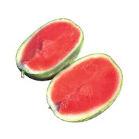 MIRAMPELLO RZ F1  product photo