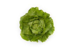 TOMBELO RZ product photo