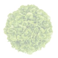 KRISTINE RZ (83-37) product photo
