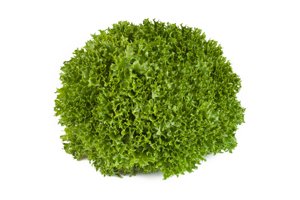 EXPERTISE RZ product photo
