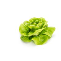 CECILIA RZ  product photo