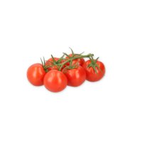 CURZIO RZ F1 product photo