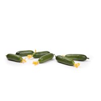 CENGEL RZ F1 product photo