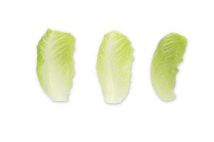 SUMMERITA RZ (41-CR2433) product photo