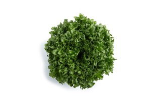 CRYSTIQUE (44-CL1573) Knox™ product photo