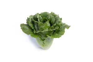 GABITA RZ (41-CR1378) product photo