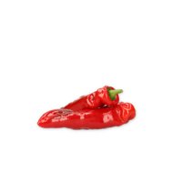 PALERMO RAMSDALE RZ F1 product photo