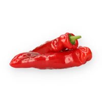 PALERMO RAMSDALE RZ F1 product photo