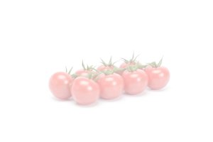 GARRIOSO RZ F1  product photo