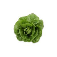 DILAGO RZ product photo