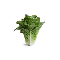 CAICEDO RZ (41-CO2151) Knox™ product photo