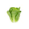 RALSTON RZ (41-CO7499) product photo view-3 S